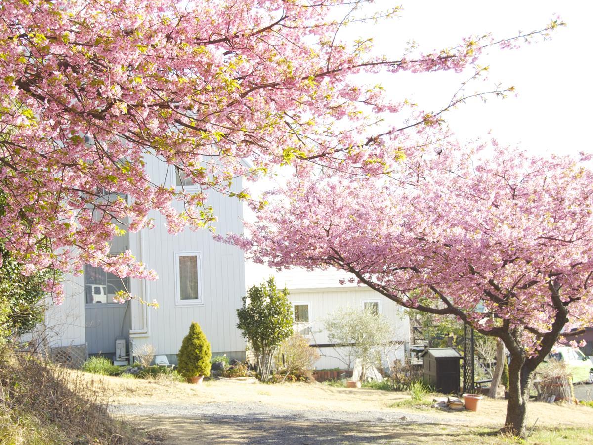 Country Inn Galley Ito  Luaran gambar
